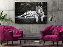 Obraz Eye of the tiger zs1219